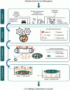 Figure 5 - The stages of waste collection and sorting that enable heterogeneous end-of-life waste to be transformed into a batch of aluminum alloys suitable for remelting.