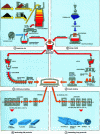 Figure 20 - Steelmaking and primary hot-rolling processes (AFA document)