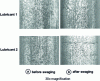 Figure 20 - SEM images showing the presence of lubricants before and after swaging