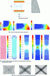 Figure 6 - Anisotropic mesh adaptation based on damage and damage rate for a compression test and a tensile test on a flat specimen