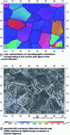 Figure 44 - EBSD measurement of an IF steel (Interstitial Free, i.e. without interstitial solute atoms) deformed by 15% in quasi-static uni-axial tension. Under the effect of deformation, dislocation structures (walls, cells, etc.) appear inside the grains (image: ATEX©)
