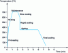 Figure 19 - Example of steel strip temperature variation as a function of time during continuous annealing.