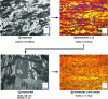 Figure 12 - Microstructure evolution during α + β hot rolling, quenching, α rolling and Zy-4 annealing.