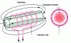 Figure 4 - Film effect and circulation of induced currents
