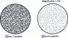 Figure 2 - Micrographic examinations of polished and unetched samples of spheroidal graphite cast iron at magnification 100 (standard NF EN ISO 945-1)