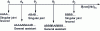Figure 23 - Diagram showing the atomic description of any grain boundary of disorientation θ in terms of structural units (A and B) of short-period boundaries whose disorientations frame θ