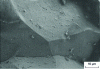 Figure 6 - Conchoidal facies. Burnt hard steel: brittle intergranular fracture, SEM