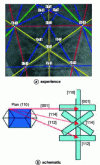 Figure 13 - Kikuchi diagram obtained on a silicon single crystal with (001)[110] orientation