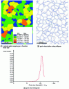 Figure 22 - Examples of maps and grain size histograms