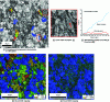 Figure 31 - Mapping of IQ and intragranular disorientation (and disorientation profiles), IQ and GOS, and IQ and KAM in a partially recrystallized nickel alloy