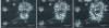 Figure 13 - Real-time monitoring of oxide phase growth at 600 °C using ESEM (P H2O= 500 Pa) on pre-oxidized P91 martensitic steel