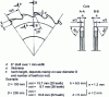 Figure 2 - Circular sawing: tool tooth profile