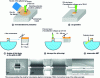 Figure 21 - Successive steps in the manufacture of a thin slide for FIB transmission electron microscopy (TEM)