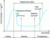 Figure 28 - Electrochemical significance of intergranular corrosion tests. Polarization curve and position of redox couples.