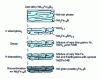 Figure 22 - Schematic evolution of the microstructure of a solid Nd2Fe14B ingot subjected to the HDDR process. [72]