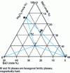 Figure 5 - Ternary diagram BaO - Fe2O3 - MeO (with Me = Fe)