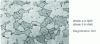 Figure 14 - Micrograph of Cu Zn40Pb3 free-cutting brass