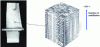 Figure 29 - Single-crystal solidification macrostructure [18]