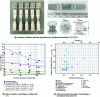 Figure 8 - Mechanical fatigue of architectural materials obtained by additive manufacturing