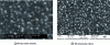 Figure 10 - Microstructure of alumina-zirconia composites containing unstabilized zirconia
