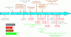 Figure 1 - Evolution over time of materials for direct dental restoration (adapted from [4])