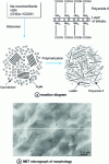 Figure 9 - Nylon 6 nanocomposite formation by in situ polymerization