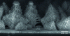 Figure 14 - Platinum nanofoam with gyroid structure – Pt electrodeposition on a polymeric template (after [34])