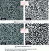 Figure 2 - Silver nanofoams prepared by natural selective dissolution in HNO3-HF, from an Ag alloy38.75Cu38.75Si22.5(from [1])