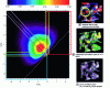 Figure 6 - Normalized curvature distribution of a gold nanofoam (after [6])