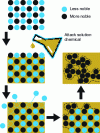 Figure 8 - Schematic representation of the steps involved in selective dissolution and formation of a metal nanofoam (adapted from [18]).