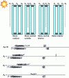 Figure 12 - Effective absorption of triple-glazed components with blinds