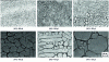 Figure 19 - Evolution of satin-finish appearance with HF concentration in solution for a depolishing time of 1 minute