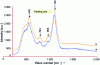 Figure 2 - Raman spectrum of a soda-lime-silica glass surface before and after satin-finishing