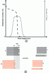 Figure 8 - a) diagram representing the fiber length distribution (solid gray line) with the associated distribution function (dotted line) in the case of a sharp distribution corresponding to fibers of approximately the same length; b) case of cluster formation when the fibers are approximately the same length