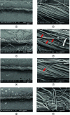 Figure 16 - SEM images of yarn obtained by a) and b) wet spinning; c) and d) dry spinning; e) and f) semi-wet spinning; g) and h) spinning short cottonized flax fibers; the yarn in question contains 33% flax and 67% cotton (by mass). The pectic and woody cements visible after dry and semi-wet spinning are indicated by red arrows.