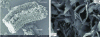 Figure 8 - Kaolinite and illite at a scale of a few microns (source: Imerys)