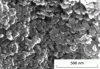 Figure 4 - Scanning electron microscope image of a ZnO/ nanocomposite sample-Fe2O3 at 53% by volume of -Fe2O3 and an epoxy resin content of 25% by volume