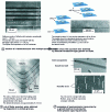 Figure 1 - Micrographs of semiconductor quantum structures