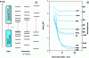 Figure 2 - a) Schematic evolution of the electronic structure between the bulk solid and nanocrystals of decreasing size – b) Theoretical variation of the gap calculated for nanocrystals of different semiconductors from formula (1) and the parameters in Table 1