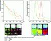 Figure 3 - Room-temperature absorption (a) and fluorescence (b) of colloidal dispersions of CdSe nanocrystals with diameters of 2.8 nm (green), 3.8 nm (yellow), and 5 nm (red).