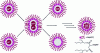 Figure 4 - Reverse micelle synthesis of CdS nanocrystals