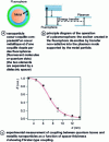 Figure 14 - How a plasmophore works [35]