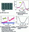 Figure 7 - ESH nanosource excited at the end of gold nanobatons [19]
