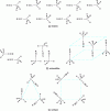 Figure 4 - Structures of some acetonitrile aggregates in the liquid phase