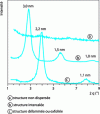 Figure 5 - Typical XRD results for a series of model polymer-silicate blends