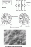 Figure 9 - Formation of nylon 6 nanocomposite by in situ polymerization