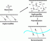Figure 12 - Diagram showing the development of nanocomposites by in situ polymerization