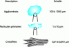 Figure 14 - Microstructures of montmorillonite at different scales