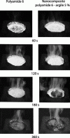 Figure 18 - Series of digitized images illustrating the pyrolysis process during the fire resistance experiment
