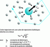 Figure 4 - Schematic representation of the trajectory of a colloidal particle subjected to Brownian motion
